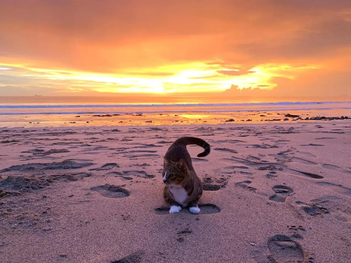 Rx Hostel - Klong Nin Beach Ko Lanta Tailandia